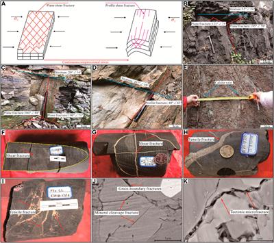 Deciphering the formation period and geological implications of shale tectonic fractures: a mini review and forward-looking perspectives